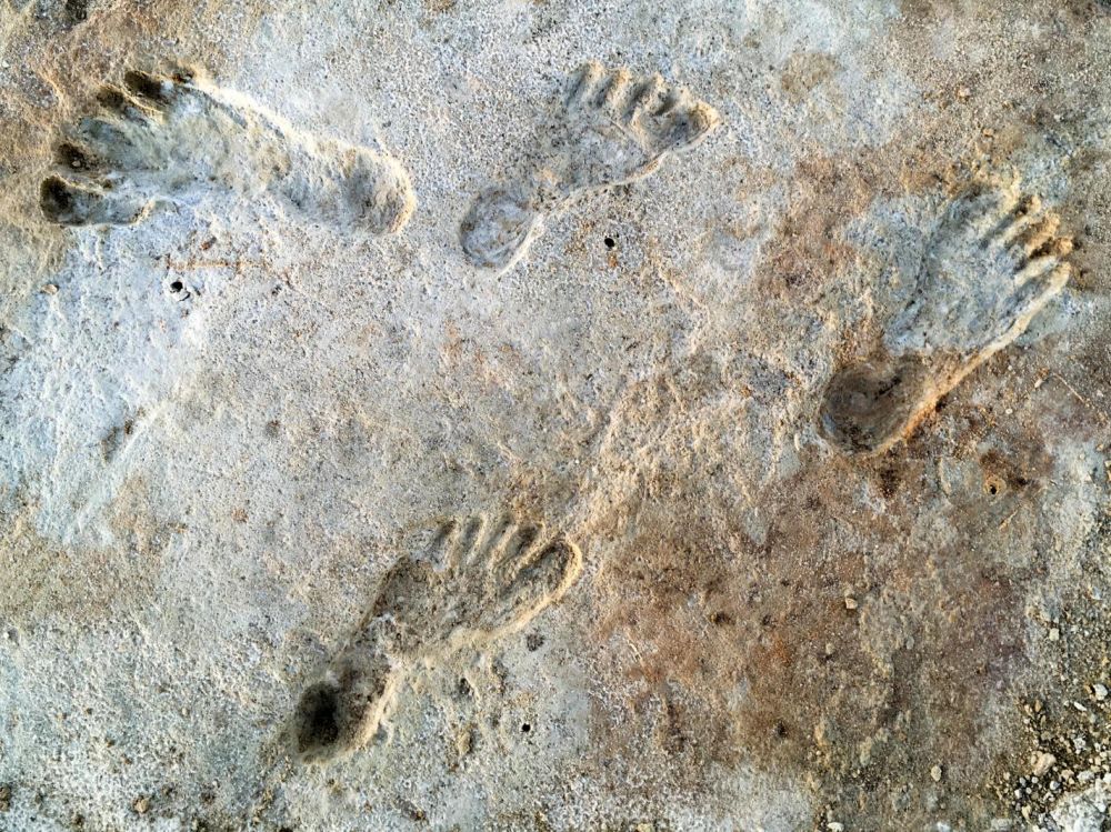 Ces empreintes représentent à ce jour la preuve la plus solide de la présence d'Homo sapiens sur le continent américain dès 20.000 ans avant notre ère.